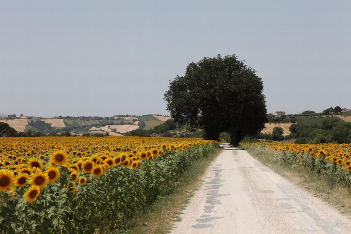 Vakantiehuis Marche Italië